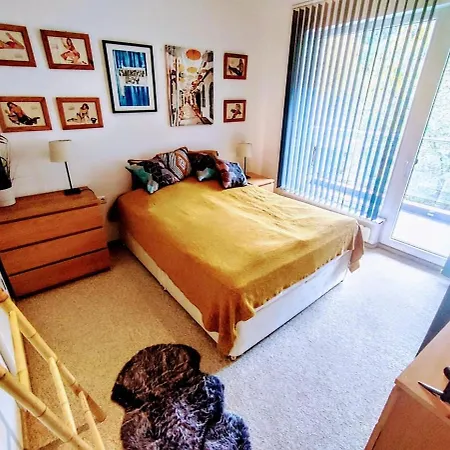 Homy 1bd Ski&spa בנסקו