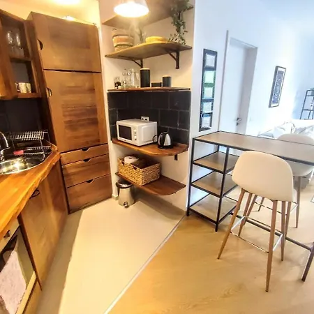 Homy 1bd Ski&spa דירה בנסקו